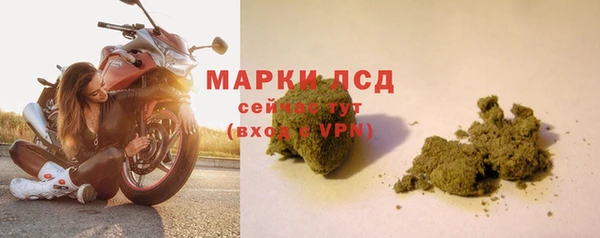 винт Вяземский