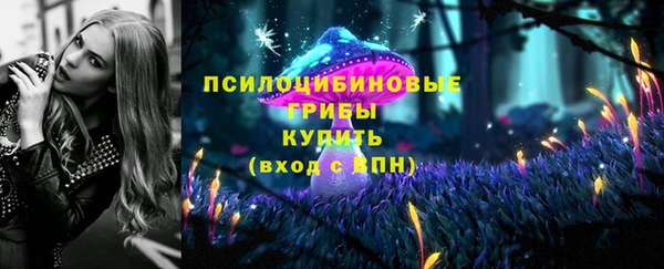 винт Вяземский