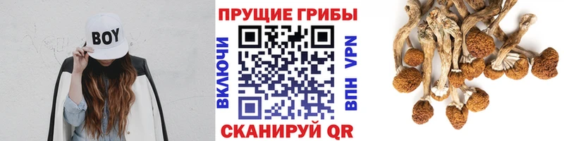 hydra рабочий сайт  Липецк  Галлюциногенные грибы Psilocybine cubensis 