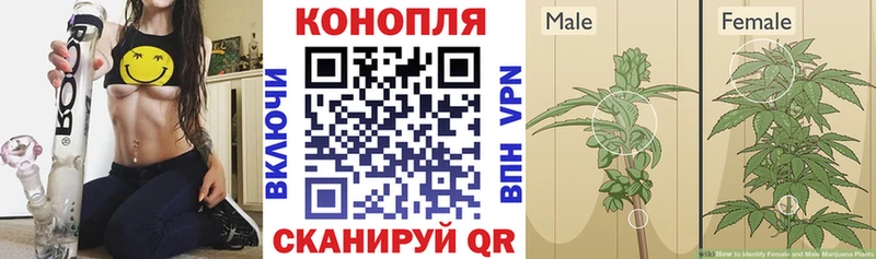 купить наркотики цена  Липецк  Шишки марихуана MAZAR 